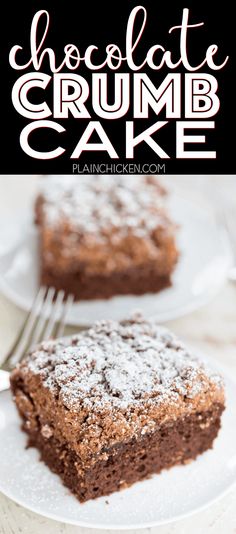 chocolate crumb cake with powdered sugar on top and the words, chocolate crumb cake