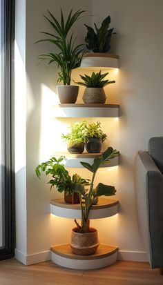 a living room filled with lots of potted plants next to a wall mounted light