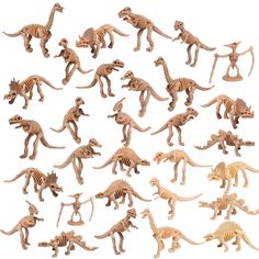 a bunch of toy dinosaurs on a white background