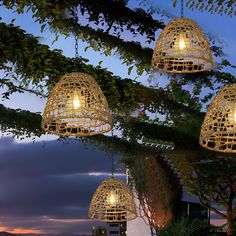 three lights hanging from the branches of a tree