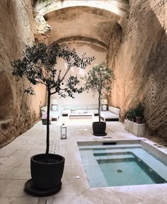 an instagram page with a tree and pool in the middle, surrounded by stone walls