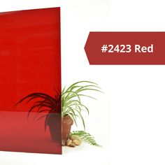 a plant in a pot next to a red sign with the words 4223 red on it