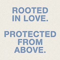 a blue and white sign that says, rooted in love protected from abovve