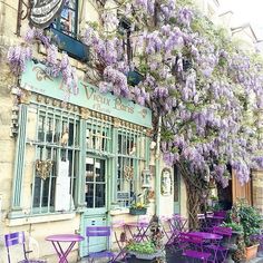 purple chairs and tables in front of an old building with wistery trees on the outside