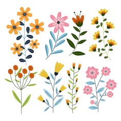 an assortment of flowers on a white background