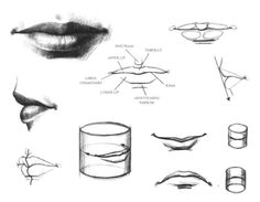 various types of mouth shapes and how to draw them