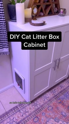 a cat litter box cabinet with the words diy cat litter box cabinet