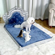 a small white dog standing on top of a blue bed in a living room next to a chair