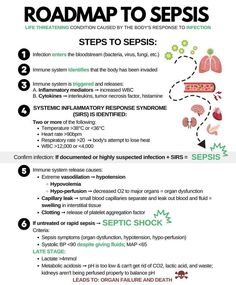 Roadmap to Sepsis #medicalschool #resources #medicalstudent - Image Credits: ErinTG Cna Certificate, Paramedic Study, Nclex Notes, Physician Associate, Nursing School Studying Cheat Sheets, Medical Assistant Student, Paramedic School, Septic Shock, Nursing School Essential