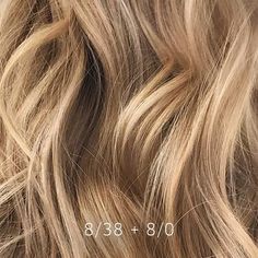 Hair Color Wheel, Light Golden Blonde, Sandy Blonde Hair, Dark Blonde Hair Color, Chestnut Hair Color