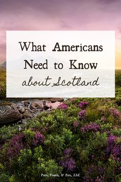 purple flowers with the words what americans need to know about scotland in white overlay