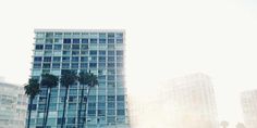 two tall buildings with palm trees in the foreground and sun shining through windows behind them