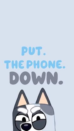 a cartoon cat with the words put the phone down