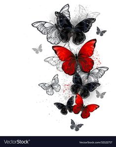 red and black butterflies flying in the sky