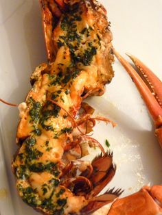 cooked lobsters on a white plate with parsley