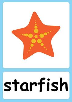 a starfish with the word's name below it and an orange starfish