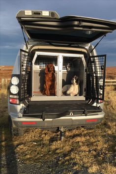 two dogs are sitting in the back of a vehicle with its doors open and one dog is looking out