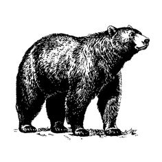 a black and white drawing of a bear standing on the ground with its mouth open