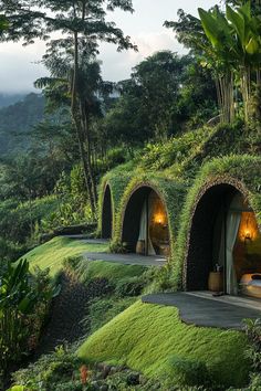 an outdoor area with grass covered structures and plants on the sides, surrounded by greenery