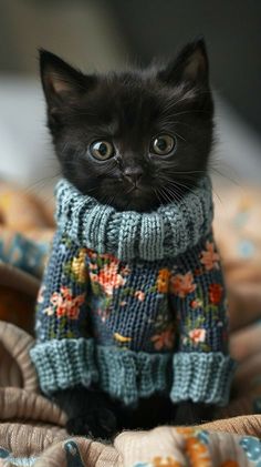 a black kitten wearing a sweater on top of a bed