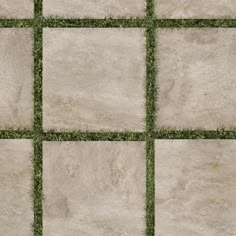 the grass is growing in between two squares of cement tiles that are laid on top of each other