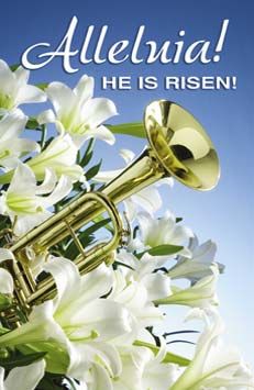 a trumpet is surrounded by white flowers and the words, allebia he is risen