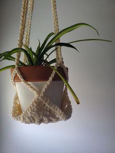 a potted plant hanging from a rope