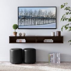 Honeycomb Shelf, Floating Tv Console, Inside House