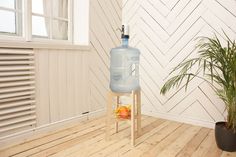 a large water bottle sitting on top of a wooden stand next to a potted plant