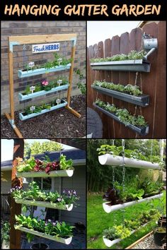 hanging gutter garden is an easy way to grow your own plants in the yard