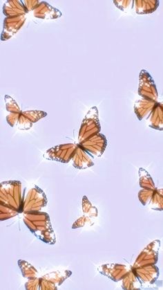 many butterflies flying in the sky with bright light shining on their wings and back side