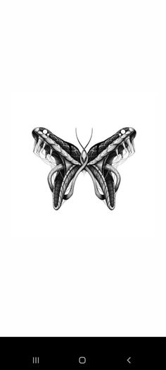 a black and white photo of a butterfly