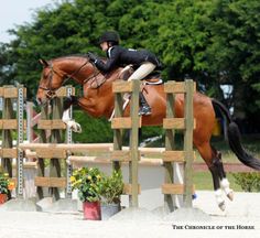 a person jumping a horse over an obstacle