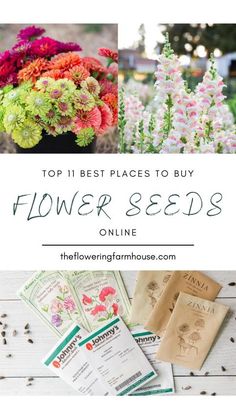 flowers and seed packets with the title top 11 best places to buy flower seeds online