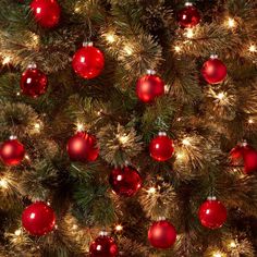 a christmas tree with red and gold baubles hanging from it's branches