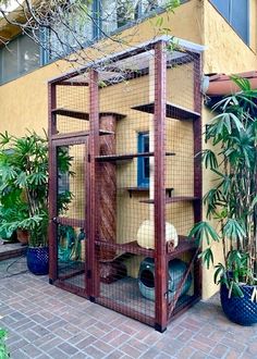 a caged in outdoor area with plants and potted plants