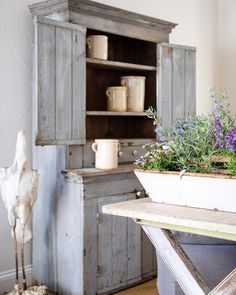 a potted plant sitting on top of a wooden table next to a cabinet with drawers