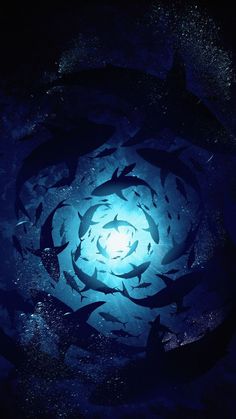 a large group of fish swimming in the ocean at night under a blue light that is shining on them