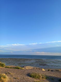 a bench sitting on top of a sandy beach next to the ocean under a blue sky