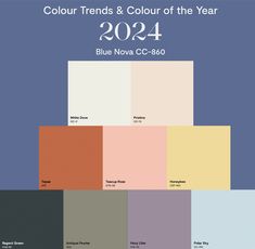 the color scheme for the new year's colors