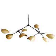 a chandelier with five lights hanging from it's center and four leaves on each end