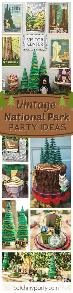 vintage national park party ideas with trees, pines and other decorations on the table