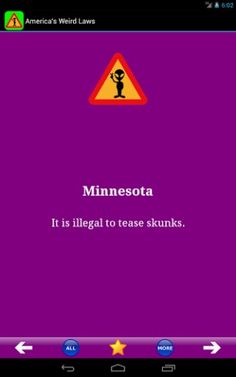 the minnesota state flag is shown in this screenshot from an american weird laws app