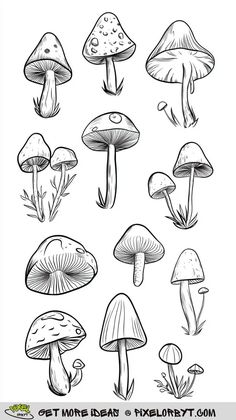 a bunch of mushrooms that are drawn in black and white