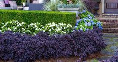 an outdoor garden with purple and white flowers