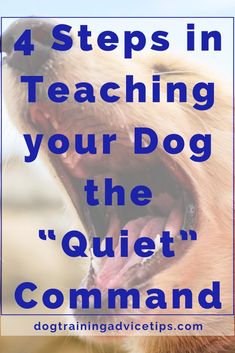 a dog with its mouth open and the words 4 steps in teaching your dog the quiet command