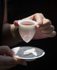 a person holding a cup and saucer in their hands