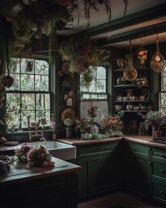 a kitchen with green cabinets and lots of plants hanging from the wall above the sink