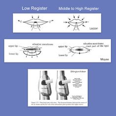 the diagram shows different types of knee injuries