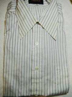 Vintage Sulka 100% cotton, white with blue stripes, never worn. Collar size 15.5 Sleeves 32 White Vertical Striped Tops For Office, White Shirt With Striped Collar For Work, White Vertical Stripes Top For Formal Occasions, White Long Sleeve Shirt With Vertical Stripes, White Vertical Striped Top For Formal Occasions, Formal White Tops With Vertical Stripes, Formal White Top With Vertical Stripes, Classic Shirt With Vertical Stripes For Daywear, Classic Striped Dress Shirt For Summer